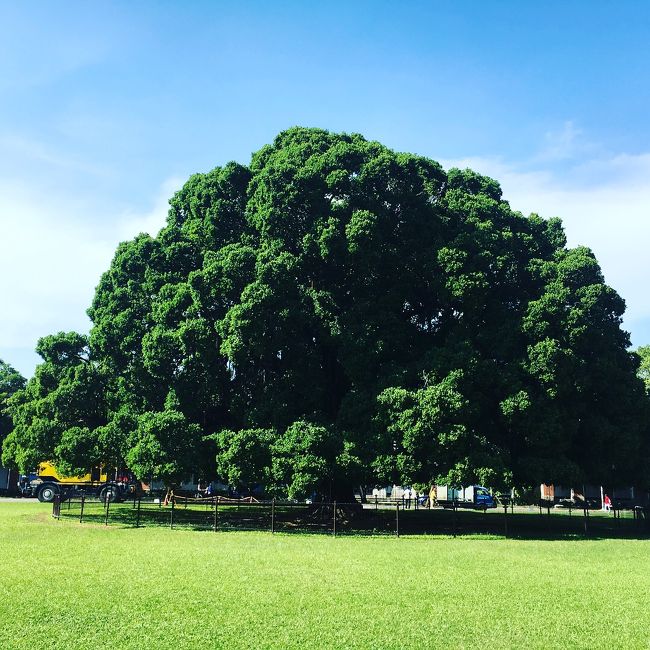 今年の夏休みは上海・台南へ。台南の2日目は台南お初の友達のために有名スポットを回ったつもりです！<br />