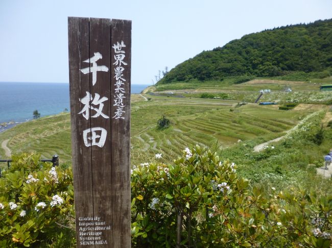 輪島といえば【朝市・輪島塗り】のイメージですが、世界農業遺産に認定された【白米（しろよね）千枚田】は輪島市内のもうひとつの名所。<br /><br />そして、能登半島の西海岸をどんどん北上して能登半島の最北端【禄剛埼（ろっこうさき）灯台】を目指します。<br /><br />その後は半島をぐるっと廻り込んで、今度は東海岸を南下して七尾市へ。<br />