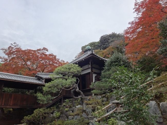 まさかの3連休で京都に行くことに…<br />激混み覚悟でしたがやはり激混み<br />なるべく紅葉のきれいなエリアを選んで回るようにしました<br />後半です