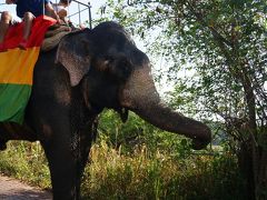 【タイ・スリランカ　象とカレーを巡る旅】④シーギリヤ～コロンボ