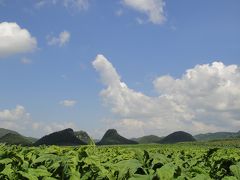 2017年　夏　雲南省の旅６