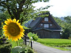 北陸と白川郷をレンタカーで周遊：（2）夏花薫る世界遺産・白川郷編