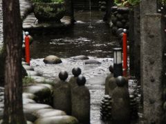 2017年お盆休み 岐阜の凸凹旅【４】-- 郡上八幡城跡と城下町散策 --