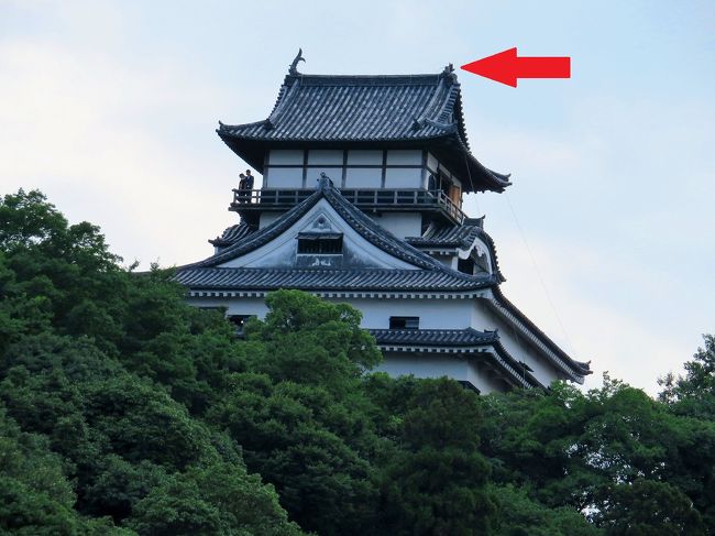 国宝犬山城は、現存する木造天守閣では日本最古と言われ、室町時代の1537年（天文6年）に建てられた国宝指定された名城5城（犬山城、姫路城、松本城、彦根城、松江城）のうちの一つ。<br />愛知県の北端、犬山市の岐阜県との県境木曽川沿い高さ約88メートルの丘に築かれた平山城です。<br /><br />今年7/12にNEWSで、犬山城の天守閣の鯱に雷が落ちて半壊―したって話題になっていました。 <br />被害を受けた鯱は天守閣北側の一体で尾びれの部分がそっくり欠けてしまい、割れた瓦の一部は地上に落下、避雷針も曲がったとか…<br />原因は雷が直撃した衝撃だそうです。<br />その被害から2週間ほどの7/26に犬山を訪れて外からの犬山城と城下町をぶらっと散策しました。<br /><br />犬山城HP<br />https://inuyama.gr.jp/castle.html<br /><br />犬山城下町HP<br />https://inuyama.gr.jp/castle-town.html