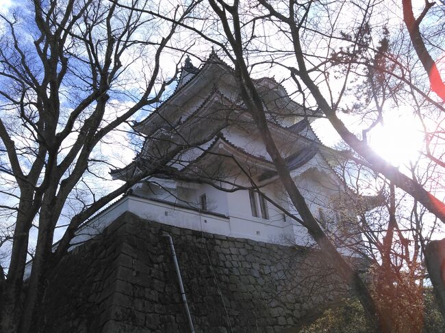 伊賀忍者屋敷と上野城へ、日帰りでドライブに行って来ました。でもその前に亀山市の川森食堂で腹ごしらえ！！東名阪道、伊勢自動車道、名阪国道の集合する関ジャンクションの西側。