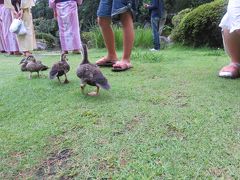 2017立秋「夏休み石和温泉で一泊」