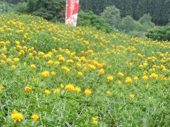 ちょっとしたお出かけしか出来なかったけど、こんな年もあってもいいかな？紅花（県花）を見に天童へ！！等々