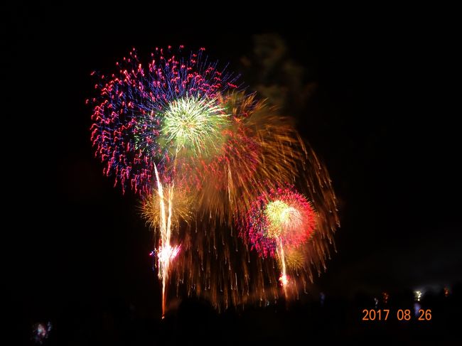 大曲の花火大会を体験してきました。<br /> 実は前哨戦で昨年「秋の章」という夏の本大会をこじんまりしたものを観て予習をしていきました。しかし、夏は全然規模が違うので、いろいろ準備不足を痛感することに…。。<br /> 花火は昼花火なるものが夕方5時半から開始。その後、中休みが入って本番となります。競技会ですので、各花火製造会社が技を競い、それぞれが趣向を凝らしたものを見せます。当日は27団体の花火を鑑賞できました。<br />★チケット…花火会場で観るためのチケットは抽選です。数ヶ月前からホームページなどを見ておかないと直前は無理です。我が家は何とか抽選で端っこの椅子席を確保できました。ここが最初の難関です。会場以外でも観ることができますが、低い位置で打ち上げる花火や仕掛花火が鑑賞できません。組み合わせで魅了している花火が多いので、なんといっても会場で観るのがオススメです。旅行会社のツアーの場合はチケットもついていますので確実は確実です。<br />★交通手段…迷うのが交通手段。自家用車か公共交通か…。会場がJRの駅から徒歩で30分以上あるし、電車の時間もあります。とは言え、自家用車は渋滞が…。どちらも一長一短です。今回は自家用車を選択しました。昼の2時半頃に大曲に到着しましたが、チラホラの渋滞(まだまだ小規模)。この時間はツアーのバスが多いです。<br />★駐車場…会場に近いほど行くには便利ですが、帰りは渋滞に巻き込まれます。逆に離れた場所だと行きは大変ですが、帰りは渋滞回避できます。渋滞は帰りの駐車場を出るときと、市内の幹線がものすごい(全然動かない)。帰りを想定して裏道を探っておくと時間短縮になります。また、帰りの高速道路は下り(秋田市内方向)は意外と空いています(とは言え、普段よりは多いですよ)。大曲ICまでは混んでいますが、その後は法定速度-10kmぐらいでは進んでいました(ところどころ1車線なんで仕方なし)。上り方面(仙台方向)は混んでいるようです。渋滞予想や回避の道路情報も出されるので参考にすると良いと思います。<br />★宿泊…これは良くて半年前に抽選、普通は常連さんで一年前に埋まってしまいます。角館あたりはこまめに見ていれば、直前キャンセルがでていました。直近の大曲はキャンセルが出てもバカ高です。我が家は角館宿泊ならば秋田市内の自宅に戻るのと同じとみて予約はしませんでした(秋田市内に到着は0時頃…想定の範囲内でした)。<br />★会場…当然河川敷です。下は雨が降るとグチャグチャですので、長靴を用意した方が良いです。これは「秋の章」で学習していました。直前、大雨でしたので、予想通りのぬかるみ。観光客の人は悪戦苦闘していました(コンビニの袋などを靴にかぶせて歩いている人もいました)。直前の天気も含めて要チェックです。<br />★服装…開催は毎年8月最終週の土曜と決まっています。暑いぐらいかな?と思って暑さ対策(日焼け止め、うちわ)はしていたのですが、日没になると風が冷たい!周囲の常連らしき人たちを見るとジャンパー持参が多いです。これは必須のようです(我が家は寒さに耐えて鑑賞)。<br />★トイレ…女性は行列です。まず、トイレットペーパーは常備されていませんので持参が必須。そして簡易トイレの中は小さい懐中電灯のみ。常連は頭に付けるヘッドライトを持参している人がいました。手洗いの水もペットボトルなどで持参すべきです。<br /><br /> 数万人の街に80万人がやってくる花火大会ですので、それなりの覚悟が必要です。とは言え、さすがに全国にその名を轟かせる花火大会。内容はとても素晴らしく、一度は観たいし、繰り返し観たくなる…そういうものです。しっかり事前の準備をして行きましょう。<br />