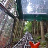 たまには車で／祖谷の隠れ宿と奥祖谷観光周遊モノレール