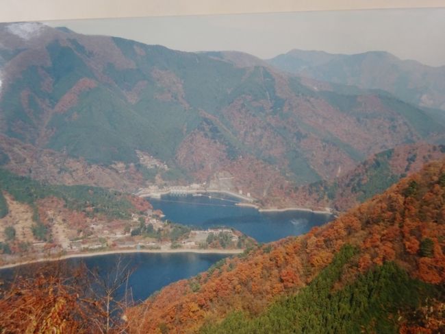 紅葉の奥多摩(日原鍾乳洞 奥多摩湖 小河内ﾀﾞﾑ ﾄﾞﾗﾑｶﾝ橋 兜家旅館 払沢の滝 神戸岩等)を１日ﾄﾞﾗｲﾌﾞします｡<br /><br />{旅程}<br />①11/21(木)<br />埼玉より､一般道を青梅(ﾚﾄﾛの映画看板を見ます｡) 奥多摩ﾋﾞｼﾞﾀｰｾﾝﾀｰを見学し､奥多摩駅を通り､<br />1)日原鍾乳洞(600円)を見学(金剛杖 や白衣観音等の鍾乳石)します｡奥多摩駅に戻り､奥多摩湖に向かいます｡<br />2)奥多摩湖･小河内ﾀﾞﾑで奥多摩水と緑のふれあい館を見学し､ﾄﾞﾗﾑｶﾝ橋を歩きます｡奥多摩周遊道路に入り､檜原都民の森で少し歩き､<br />3)昼食は兜家旅館で山の幸を戴きます｡<br />4)(払沢の滝･神戸岩)檜原村の紅葉の綺麗な遊歩道を15分程歩き､払沢の滝を見ます｡車で山の中を進み､神戸岩(2つの岩の遊歩道)の遊歩道を歩きます｡<br />5)一路､埼玉に帰ります｡<br /><br />