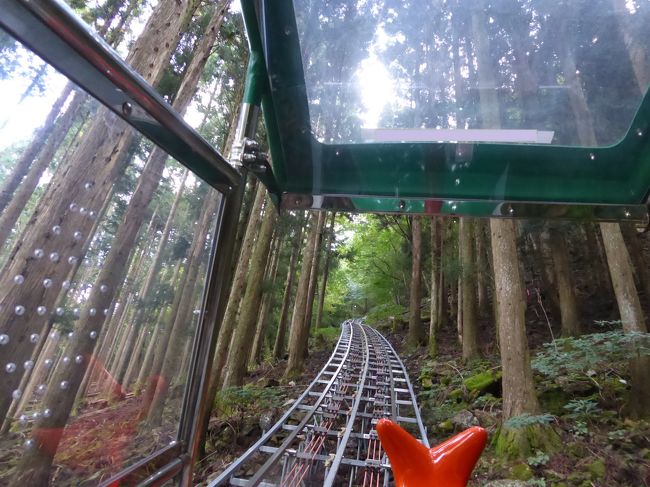 ここ４トラベルの旅行記の掲載は、原則２年前までのはず…<br /><br />うわ～～！！早よ書かんといかんヤツがいっぱいやわ～～！！(^◇^;)<br />と、当時の写真をチェックしていて、ふと目に留まったのが今回の旅<br /><br />行くのは大変だったけど(^◇^;)、もの凄く楽しかったのに、これを紹介しないままにしてたら、地元民としての名が廃るっっ！！（笑）<br /><br />…ということで、今さらながら広く全国の皆様に知って頂きたく（って…もう既にかなり有名ですが(^^ゞ）、当初の予定を変更して（笑）ＵＰの旅記録、少しでもどなたかの参考になれば幸いです(^o^)<br /><br />旅程<br />１日目　美郷の湯（立ち寄り入浴）→オルガノ（昼食）→祖谷美人（宿泊）<br />２日目　宿→奥祖谷観光周遊モノレール→いやしの温泉郷（昼食）→奥祖谷かずら橋→野猿→いやしの温泉郷（立ち寄り入浴）→松尾川温泉（立ち寄り入浴）