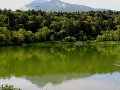 夏の利尻島ハイキング　~利尻富士と沼と湿原と植物とアザラシと海~　3日目