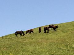 肉を喰らいアメリカの有名俳優と会った宮崎旅