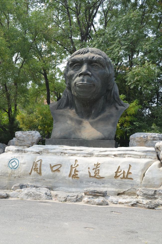 北京滞在3日目の目標は北京原人の化石が発見されたことで著名な周口店と、北京市の南部にある天壇公園の2ヶ所のユネスコ世界遺産を訪れることだ。まず周口店村は北京の南西約50kmに位置する。周口店の博物館までの行き方について、天橋バスターミナルから917番のバスに乗って周口店路で下車し、38番に乗り換え周口店猿人博物館前で下車、と言うことは予めガイドブックとインターネットを調べ、さらにホテルのフロントで聞いて確認しておいた。しかし実際にはバス停は数多くあり、正しい乗り場を見つけるのにかなりの時間を費やし、到着まで約2時間かかった。もっとも言葉の通じない国で、市民と接しながら未知の土地を訪ね歩くことは楽しいことでもあるが。北京原人については、ジャワ原人、ネアンデルタール人、クロマニヨン人などと共に化石として発見された初期人類として教科書で学んだ。ここ周口店では1929年に北京大学の学者によって、約50万年前の人類の頭蓋骨が発見された。その後1937年に日中戦争が勃発すると、貴重な化石が日本軍に略奪されることを恐れ、アメリカに移送する途中に戦乱に巻き込まれ、その後行方不明になっていたことは周知の事実である。しかし驚いたことに、最近その現物が発見されたと、前日万里の長城などを案内してくれたガイドのパンさんが語ってくれた。帰国後インターネットで調べてみたが、その事実は確認できなかった。もしかしたら、非常に機密度の高い情報だったのかもしれない。少し前に映画「ミケランジェロ・プロジェクト」(原題モニュメンツ・メン)を見て、ナチスドイツの略奪から美術品を守るために命を賭けた、アメリカの博物館員の英雄的な行動に感銘を受けた。今回、日本軍がナチスドイツのように略奪行為をしていたかもしれない、という事実に非常にショックを受けた。日本人としては慎重に行動しなくてはいけない場所だ。さて、周口店路で乗り換えたバスの中でどこで降りたらいいのか車掌や周囲の人に聞いてみたが要領を得ない。しかし医学専攻だと言う2人の女子学生が、あまり通じない英語ながら話しかけてくれて、博物館まで案内してくれた。途中の店でペットボトルを買ってくれたり、入場券まで払ってくれようとするので慌ててしまったが、好意を受け入れることにした。近年建設された博物館は、化石が発見された場所から徒歩10分ぐらいの所にある。展示内容も充実しており、苦労して来た甲斐があった。また化石の発掘現場は大規模な屋根の設置工事が進んでおり、子供連れでも楽しめるように様々な工夫がされていた。2人の女子学生には心からの感謝の気持ちを伝えて別れた。多少なりとも日中関係の改善に貢献したのかもしれない。