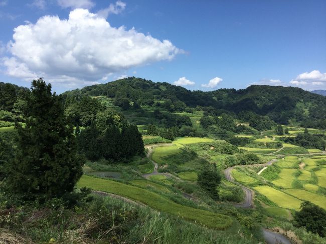 北陸新幹線の上越妙高駅からほくほく線まつだい駅まで自転車で棚田を見に行き翌日は長岡駅から六日町駅まで石川雲蝶の作品を見て回った