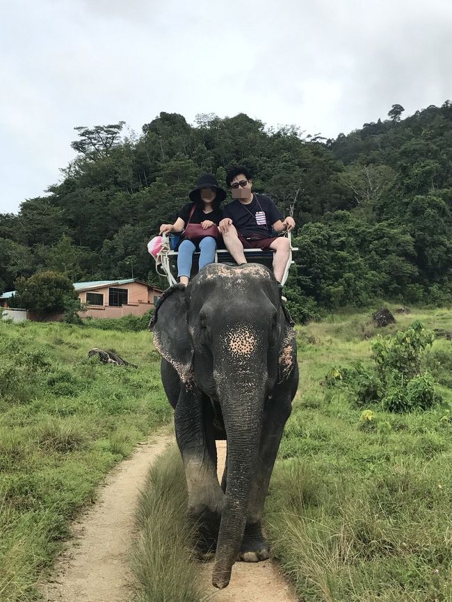 == サワディークラップ ==<br />2017夏の旅行は、娘の彩が<br />免許取得合宿で不参加となり、<br />夫婦二人旅となりました(泣)。<br /><br />先ずは、夫婦で娘不在のマン<br />ション(三軒茶屋)に2連泊し、<br />東京グルメ(B級)を楽しみ、<br />その後、タイへと旅立ちました。<br /><br />サムイ島に続き、タイのビーチ<br />リゾートは2島目となります。<br />グルメとマサージ中心のゆるゆ<br />る旅行です。<br /><br />★★旅程は以下となります★★<br /><br />■往路(羽田→バンコク→プーケット)<br />15AUG2017 JL033 HND 00:40/BKK 05:00<br /> ビジネスクラス<br />15AUG2017 PG271 BKK 08:05/HKT 09:30<br /> エコノミークラス <br />----------------------------------------------------<br />★プーケット Amari Phuket HOTEL(3泊)<br />----------------------------------------------------<br />■(プーケット→バンコク移動)<br />18AUG2017 PG276 HKT 12:15/BKK 12:15<br /> エコノミークラス<br />---------------------------------------------------- <br />★バンコク Novotel Bangkok Ploenchit HOTEL(3泊)<br />----------------------------------------------------- <br />■復路(バンコク→羽田)<br />21AUG2017 JL032 BKK 09:45/HND 17:55<br /> ビジネスクラス<br /><br />★最後までおつきあい頂ければ幸いです。