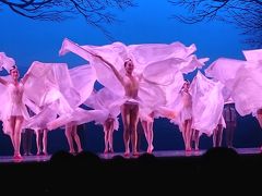 ２度観た上海歌劇団の舞劇「朱鷺」のカーテンコールの朱鷺の舞いをスマフォで