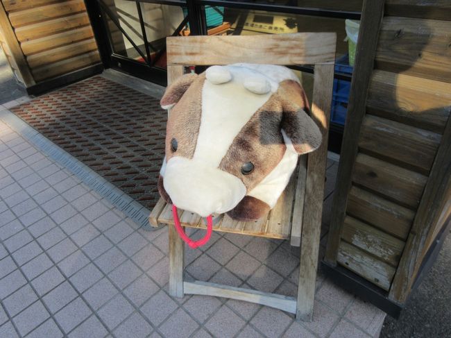 今年の8月はなかなか晴れた日がなかったのですが,最後の週になってやっと「快晴」が並びました.しかも,関東以西は相変わらずの曇り模様で,北に行くほど天気が良くなるという予報.ということで,例によってYさんと土曜の午後に高速を飛ばして岩手県へ.Yさんのワゴン車はキャンピングカー仕様になっており,各種キャンプ道具も備え付けてあるので,車中泊には最適な車です.前日は「道の駅」で温泉+宿泊.翌日は早朝5時から岩手山に登り,帰りは「小岩井農場」に寄ってきました.<br /> 岩手山の天候は,これ以上ないと言うほどの快晴.ただし,登山道は浮き石がゴロゴロしていて,今まで登った山の中では,最も「降りにくい」山でした(2回登ったら,必ず1度はケガをする).
