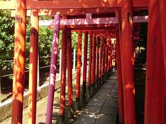 根津神社(乙女稲荷神社の千本鳥居)から駒込までお散歩 :*:・゜'★.。・:*:・゜'☆♪