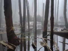 2017年9月　六十石山と忘憂森林　3泊4日　（台北と忘憂森林編）