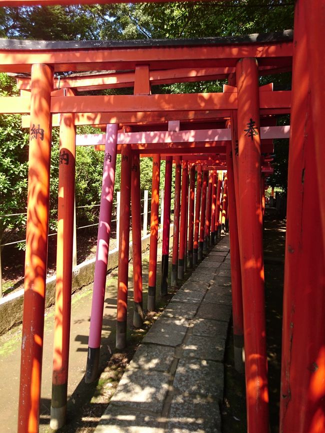 秋晴れの土曜日、根津神社から駒込までをお散歩しました。<br /><br />気温は少し高めでしたが、最近は雨が多かったので、久しぶりの快晴が心地良かったです。<br /><br />根津神社は、1900年前に日本神話の英雄・ヤマトタケル尊が創建したとされる古社で、東京十社の1つだそうです。