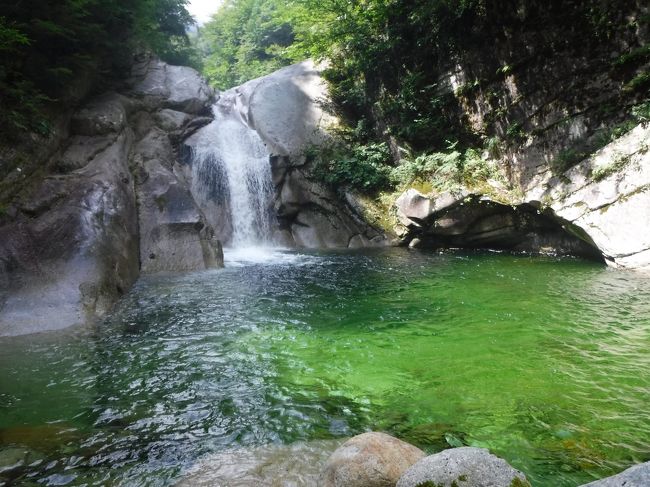 26日は軽く甘利山をハイキングして、尾白川キャンプ場でテント泊。27日は南アルプス山麓に流れる尾白川水系の鞍掛沢を遡行してきました。このルートは最後に白砂で輝く日向山のピークを踏める満足の沢です。南アルプスの天然水良いですね~♪<br /><br />谷川山域の沢のように明るく開けた雰囲気、ダイナミックな滝が何本も出てくる迫力の景観、豊富な水量と透明度の高いきれいな沢水、ジャブジャブと泳げる深い釜、登攀的要素がそれほどないと、まさに自分が求めているものがギッシリと詰まった沢で、自信を持って推薦できる沢です。<br /><br />コースタイム:8時間7分<br />矢立石登山口8:00~8:32錦滝0~9:07尾白川林道終点~10:40鞍掛沢出合10:50~14:35駒岩(鞍掛山分岐)~15:50日向山16:10~17:00矢立石登山口