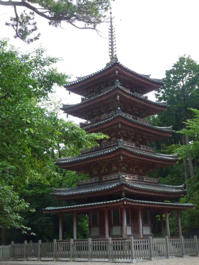 斑鳩、中宮寺の弥勒半跏思惟像を見る旅に、いろいろつけ加えていって、吉野、熊野まで行ってきました。前半の南山城の古寺、古仏めぐりは、ゆったりといい山寺、仏さまを見た、という感じ。ところが、それにつけ加えた吉野、熊野は、ちょっとスケールをなめていたこともあり、急ぎ足、しかも最終日は雨まで降ってきて、見るべきものも見られぬまま、南紀白浜空港から帰り着きました。吉野・熊野は宿題、またちゃんと計画して出かけましょう。