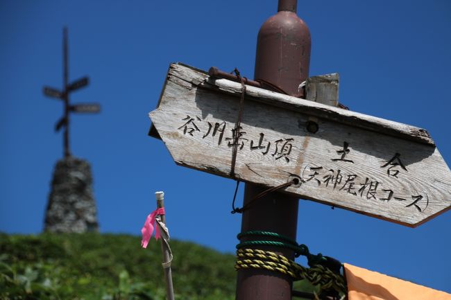 やっと気持ちいい天気の週末になりましたね！<br />関東では土、日の2日とも晴れるのは、ナント2ヶ月ぶりらしいですよ(^^;;<br />みなさんは、どんな週末をお過ごしになられたでしょうか？<br /><br />私は今年登ってみたいと思っていた2山目を登頂してきました！<br />1山目は8月の北横岳を登頂してきました。<br />北横岳の旅行記はこちら↓<br />http://4travel.jp/travelogue/11272170<br /><br />さてさて、今回は魔の山と恐れられた「谷川岳」に挑戦です。<br />群馬県と新潟県の県境に位置する三国山脈の谷川岳。<br />標高は1977ｍで、さほど高い山ではありません。それでいて、山肌は険しく気象条件も厳しいことから、3000ｍ級の高山にも劣らない山容を誇っています。<br />そして驚くべきことに、遭難、死亡事故の多い山として有名だったのです…。一つの山での死者の数としては世界一で、ギネスブックにも登録されているそうです。<br />とは言っても、多くの登山者が命を落としてきたのは一般の登山道ではなく、東側にある一ノ倉沢を始めとする、クライミングを必要とするルートでのこと。登山を始めたばかりの私が、まさかそんなルートを取るわけがありません。<br />谷川岳の遭難事故で最も有名なのが1960年の出来事だそうです。<br />遺体をザイルで吊って降ろそうとしたけど絶壁で降ろすことが出来ない。<br />そこで、射撃の名手を呼んでザイルを撃ち抜いて降ろしたそうです。撃った銃弾の数は1300発。<br /><br />そんな出来事を前日に知ってしまった私…。<br />しかし、私はそんな出来事に臆することなく、魔の山へ挑んできました！！