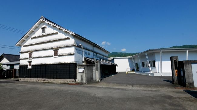 以前に行った吉良川の古い街並みがよかったので,奈半利も期待.吉良川と違い海岸べりではなかったが,古い家がたくさんあった.樟脳,木材,生糸などの集積地で栄華をきわめたところだ.高田屋さんや藤村製糸さんは中を案内してくれて説明してくれた.高田屋さんでは明治時代の東京帝大を出た地方の名士,知識人と対照的にそのむすこの遊び方が面白かったし,藤村製糸さんでは昭和まで続いた,古き良き日本の会社と従業員を見るようだった.それ以外の家も現在も住んでいたり,廃屋になったり,中に入れなかったがかつての豪勢さは伝わってきた.あっという間の二時間強の散歩だった.1608の土佐くろしお鉄道快速でのいちまで.タクシーで空港へ.空港では土佐料理 司高知空港店で,土佐三昧セットでビールを飲んだ.焼き鯖寿司の大きいのが二つは行っていて結構おなか一杯.1815発NH570便で帰京した.