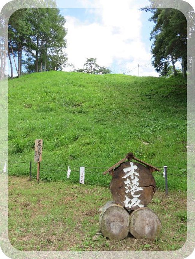 1日目。<br /><br />恒例、鹿教湯の旅。<br />既に10年以上は鹿教湯に行っています。<br /><br />今年は連れが遅めの夏休みを取ったので初日から遊べるのですが<br />金曜日はいつもロビーコンサートの為、早めのチェックインです。<br />