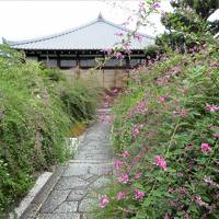 小さな秋を探しに・・・京都市バスを乗り継ぐ旅♪