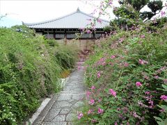 小さな秋を探しに・・・京都市バスを乗り継ぐ旅♪