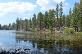 Redwood National Park, Lassen Volcanic National Park（2017夏の旅行記）