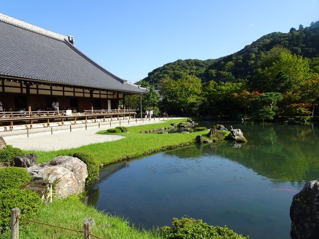 京都へ墓参り後に鴨川沿いでランチ、<br />その後は嵐山で観光名所巡りという１日です。