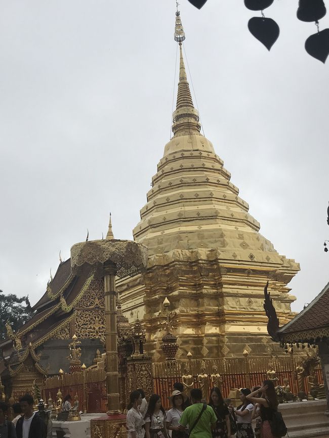 ちょっと遅めの夏休みをとってタイのチェンマイ、ラオスのルアンパバーンに行って来ました。7日間の旅です。チェンマイは1人旅、ルアンパバーンは彼氏と一緒でした。物価が安い国でのんびりしながら、現地の料理を楽しみました。<br />