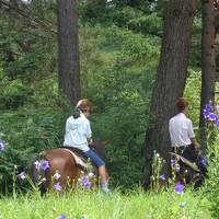 木曽　御岳　開田高原　中川村