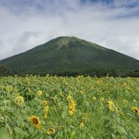 日本海の美味しい魚を求めて＼(^o^)／～神々が集う国　島根県で鮨三昧～