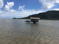 2017夏☆子連れ竹富島＆西表島5泊6日旅（3日目 野生動物保護センター＆由布島＆ナイトツアー）