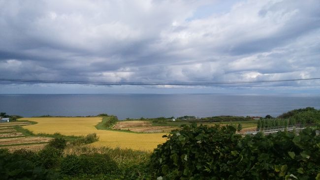 　「八森いさりび温泉ハタハタ館」トレーラーハウス泊。小雨交じりの天気。十二湖散策を取りやめ深浦へ。高台に上り海を眺め、深浦港まで歩き、折り返し来た道を戻り、駅近くで、また海を眺めていると、岩場が続くその先の島に人影と手すりが見えました。列車発車まで30分程、行って帰って何とか間に合いました。