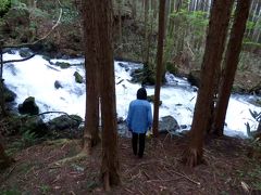 ０１．ＧＷ後半のＨＶＣ箱根甲子園１泊　三島市佐野体験農園　三島～芦ノ湖スカイライン～箱根戦国原のドライブその１