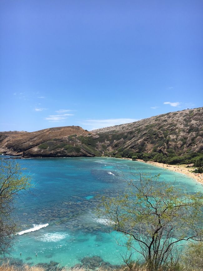 Hawaii滞在も折り返しを過ぎ本日はゲスト親子に是非見て頂きたくダイヤモンドヘッドへ登ります。そして自分達も久し振りのハナウマ湾へドライブ。ダイヤモンドヘッドからのパノラマと自然保護区の美しいビーチを堪能しました。翌日のカイルア・ラニカイビーチに備えて4人でコオリナに移動して本日の全予定は終了(￣(工)￣)