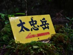 屋久島中毒の旅行記２０１７夏　（５回目の屋久島）その2