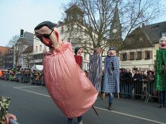 Fasching（カーニバル、謝肉祭）のパレード