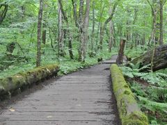 2017夏、東北に想いを馳せて．．．秋田・青森・岩手への旅(2日目 その1、朝の静かな奥入瀬渓流で至福のひと時・・渓流モーニングカフェと渓流散策）