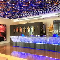2017 AUG 真夏の北京(1/6) 『 エクラ北京 』 現代美術館といっていいほどの面白ホテル　Parkview Green (前)