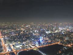 2017 JUL 久しぶりの関西(4/5）大阪ミナミの新旧タワー　通天閣と阿倍野ハルカス