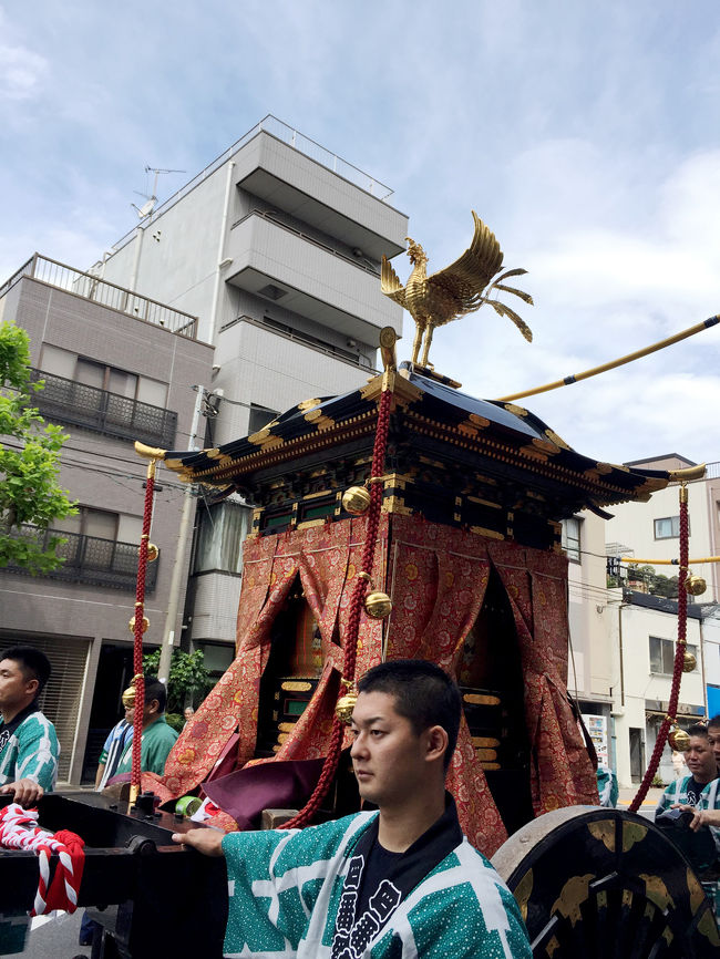 今日から墨田区向島一丁目にある牛嶋神社のお祭り。<br /><br />今年は5年に一遍の大祭。<br /><br />ちょうどお昼に鳳輦神幸祭を見ることができました。<br /><br />大きな牛さんが鳳輦を曳き二日を掛けて氏子中を練り歩きます。<br /><br />そんな貴重なお祭りを観に行って参りました。