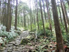 世界遺産熊野古道　伊勢路コースを歩く　　<馬越峠と天狗倉山＞