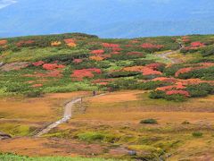 旭岳姿見の色鮮やかな紅葉 2017（北海道大雪山）