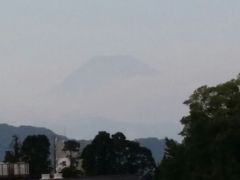 世界遺産　富士山を見に伊豆長岡温泉のニュー八景園さんへ